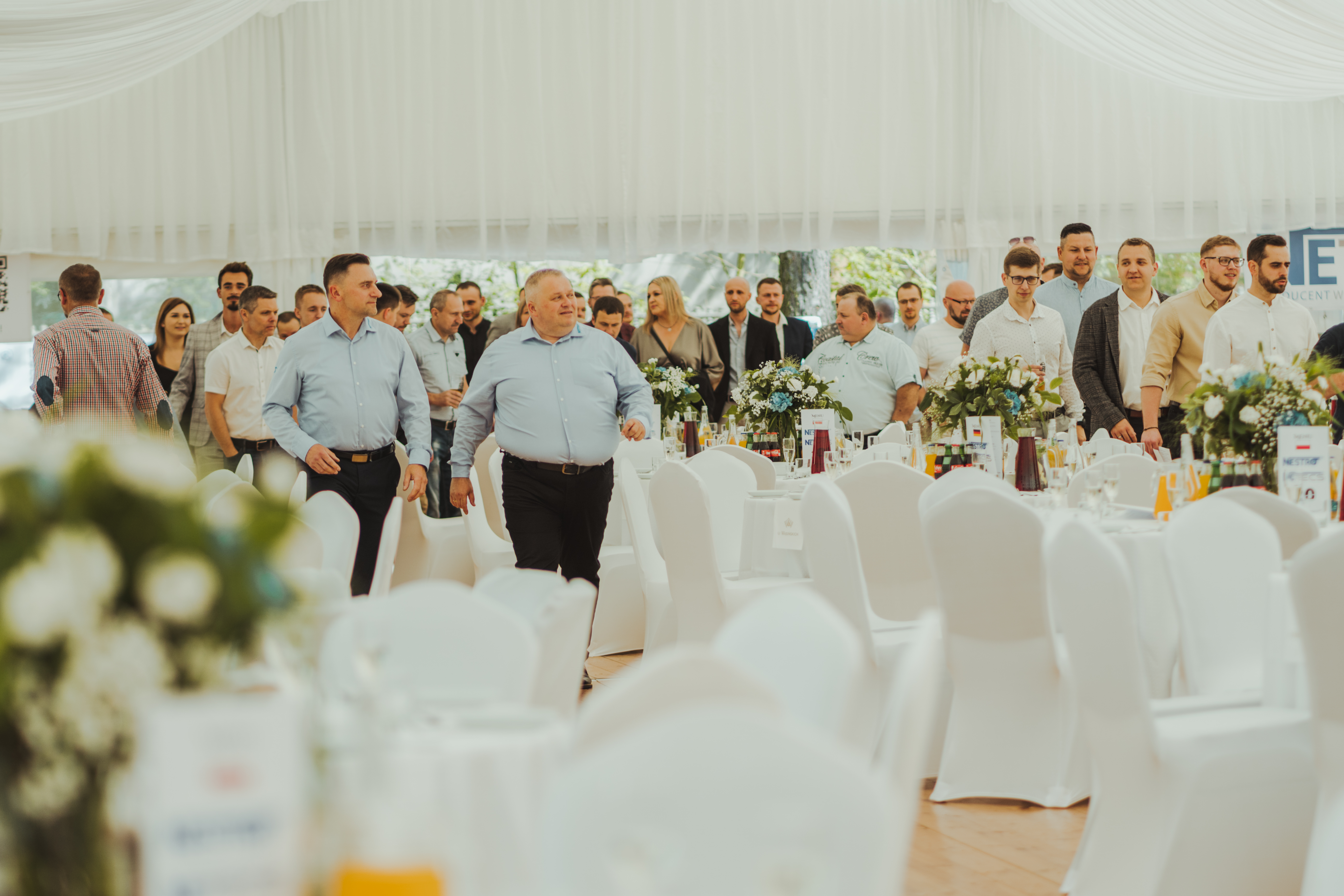 NESTRO20-5.jpg image