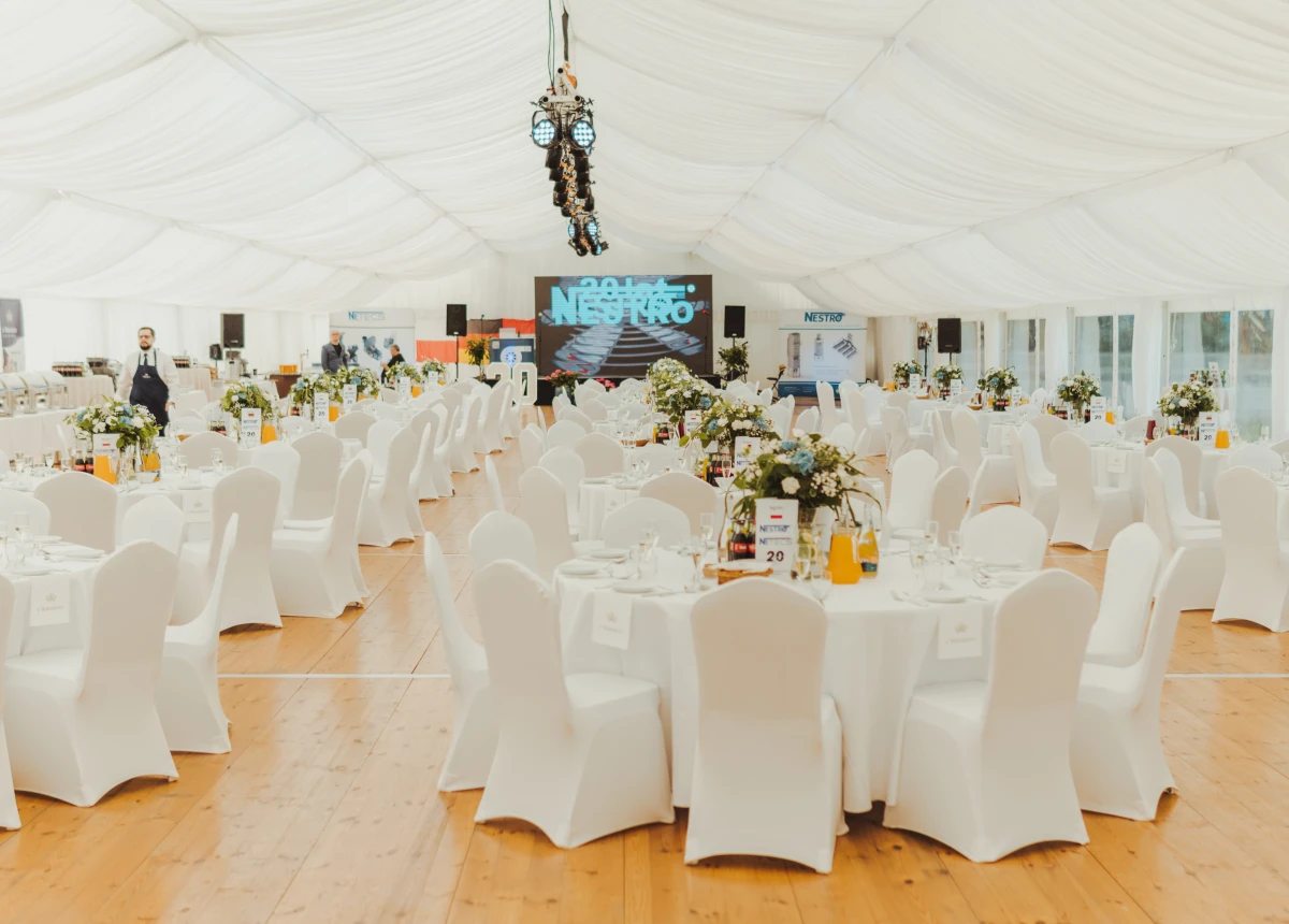 NESTRO20-4.jpg image