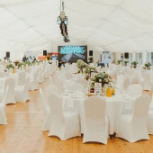 NESTRO20-4.jpg image